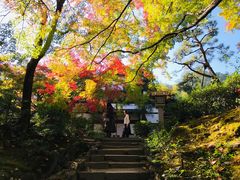 -常寂光寺