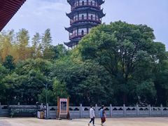 -绳金塔