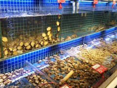 水产区-必点海鲜·鲅鱼水饺(鞍山西道店)