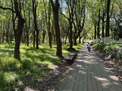 -嘉北郊野公园