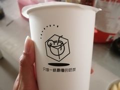 -津椰本·海南正宗椰奶清补凉(店一店)