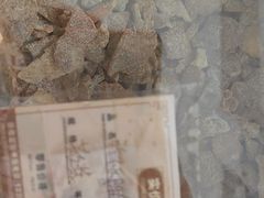 -苏州蜜饯门市部