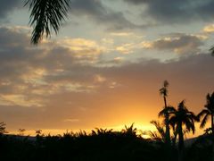 android_upload_pic-三亚亚龙湾红树林度假酒店