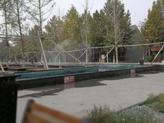 -大圆碗(新兴路店)