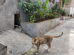 -三溪村