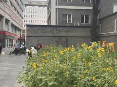 -西单明珠商场