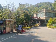 -天怡·鱼工厂(梅溪湖店)