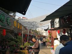 -梅陇花鸟市场-停车场