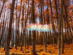 -碧峰峡风景区