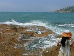 -广东惠东海龟国家级自然保护区