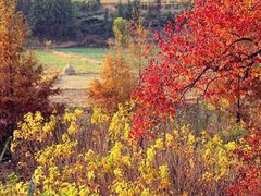 iphone_upload_pic-塔川景区