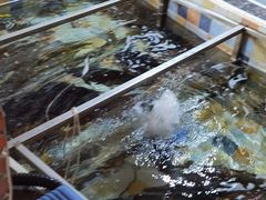 -缘福乡村铁锅炖民宿(八达岭店)