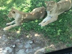 -西安秦岭野生动物园