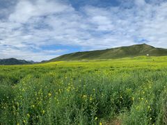 -扁都口生态休闲旅游区