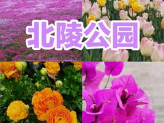 -长白岛森林公园