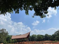 -海南热带野生动植物园