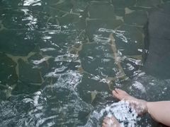 -龙达温泉生态城