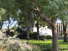 -养云安缦吧THE BAR