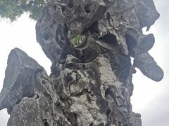 -裕兴记·三虾面(西北街总店)