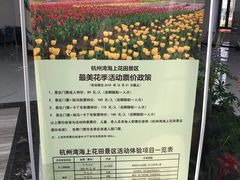 -杭州湾海上花田景区