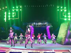 -珠海横琴长隆《卡卡虎奇遇记》