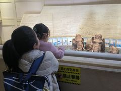 -大庆市博物馆