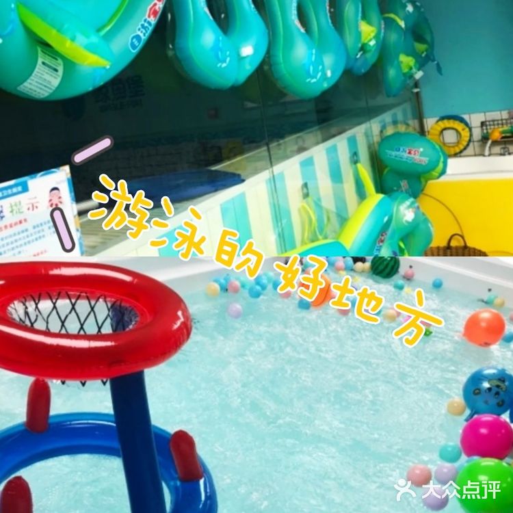 又专业又实惠的游泳馆，这里就有