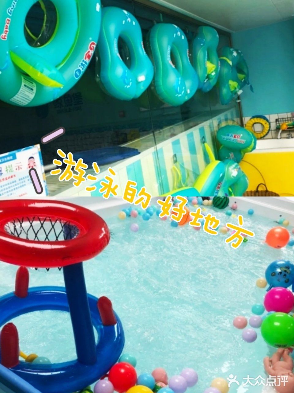 又专业又实惠的游泳馆，这里就有