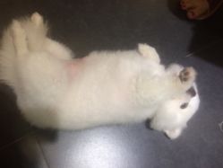 -隅日式美甲美睫專門店