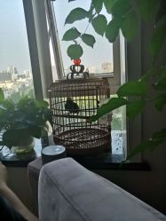 -海米国际产后修复催乳中心
