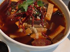 -洋洋中餐馆·SINCE 1997(龙湖星湖天街店)