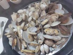 一筐蛤蜊-苏大嘴海鲜牧场(奥林匹克店)