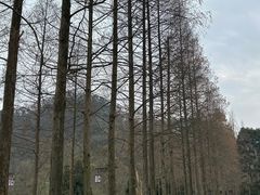 -青城山