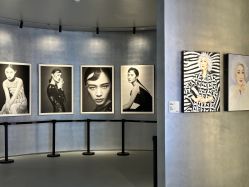 -鼎极摄影(世纪金源店)