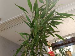 -老常州菜馆(天宁店)