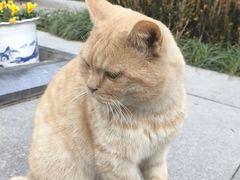 -天龙宝严素食馆(大兴善寺店)