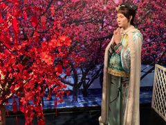 -武汉杜莎夫人蜡像馆