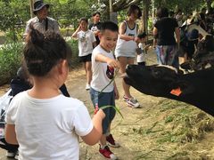 -瑞穗牧场
