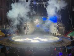 -蓬莱欧乐堡梦幻世界