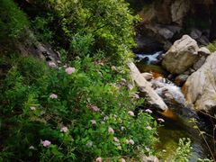 -终南山国家森林公园