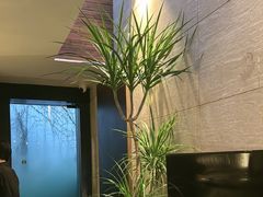 -villaa·别墅·融合菜西餐厅