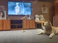 -大江户·温泉洗浴(浑南店)