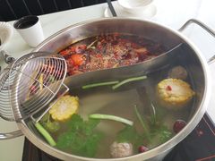 -潮牛禾记•潮汕鲜牛肉火锅(新亚洲店)