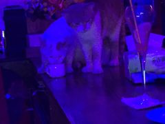 -星宿秘码(鼓浪屿老店)