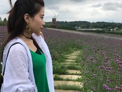 -紫颐香薰山谷景区