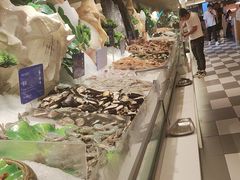 -星伦多自助料理·涮烤一体(江桥万达店)