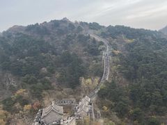 -深蓝盲人推拿·颈肩腰腿疼痛·艾灸调理(清河店)