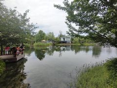 -成飞公园