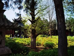 -洛阳白马寺