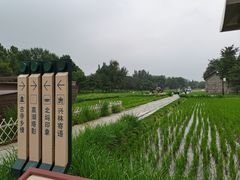 -北坞公园